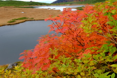 DSCF5315