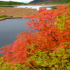 DSCF5315