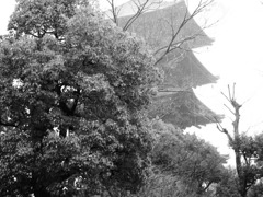 雨の中の東寺
