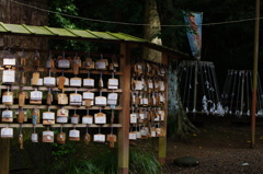 DSC00339