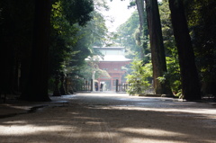 DSC00300