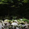 DSC00568
