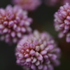 DSC01420