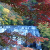 DSC01547