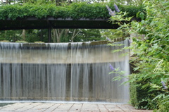 DSC00366