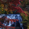 DSC01527