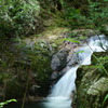 DSC00580