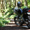 DSC00518