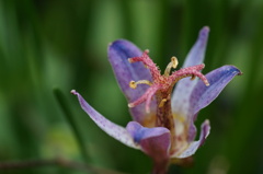 DSC01471