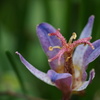 DSC01471