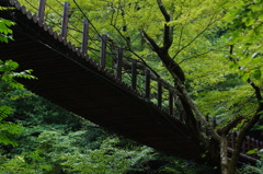 DSC00577