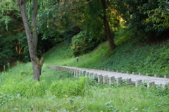 DSC00197