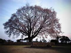 R0010235
