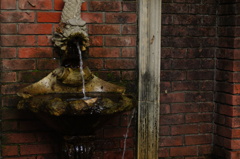 DSC00208