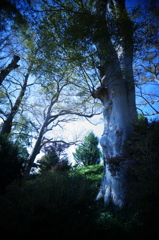 DSC01277