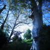 DSC01277
