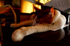 DSC00088