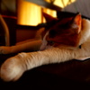 DSC00088