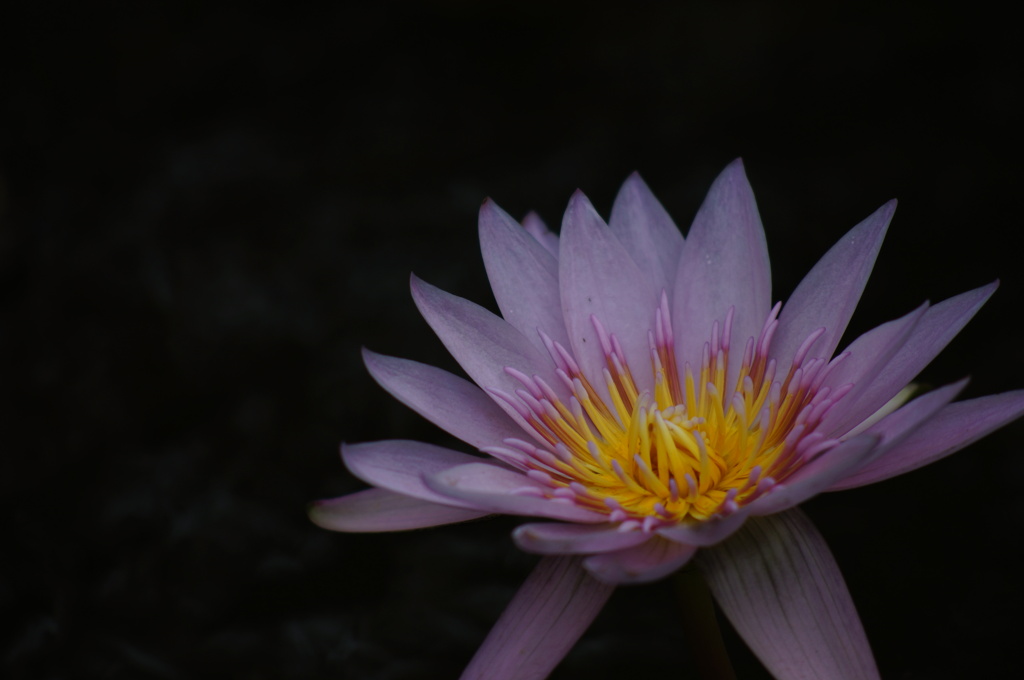 DSC00397