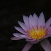 DSC00397