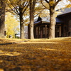 DSC01802