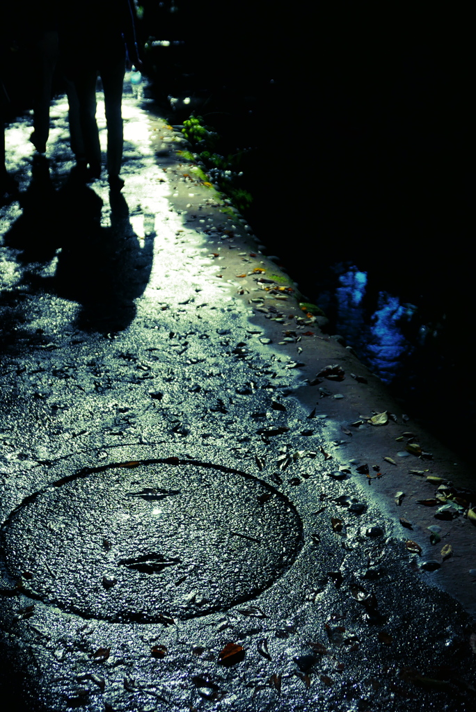 雨上がり、しっとりと
