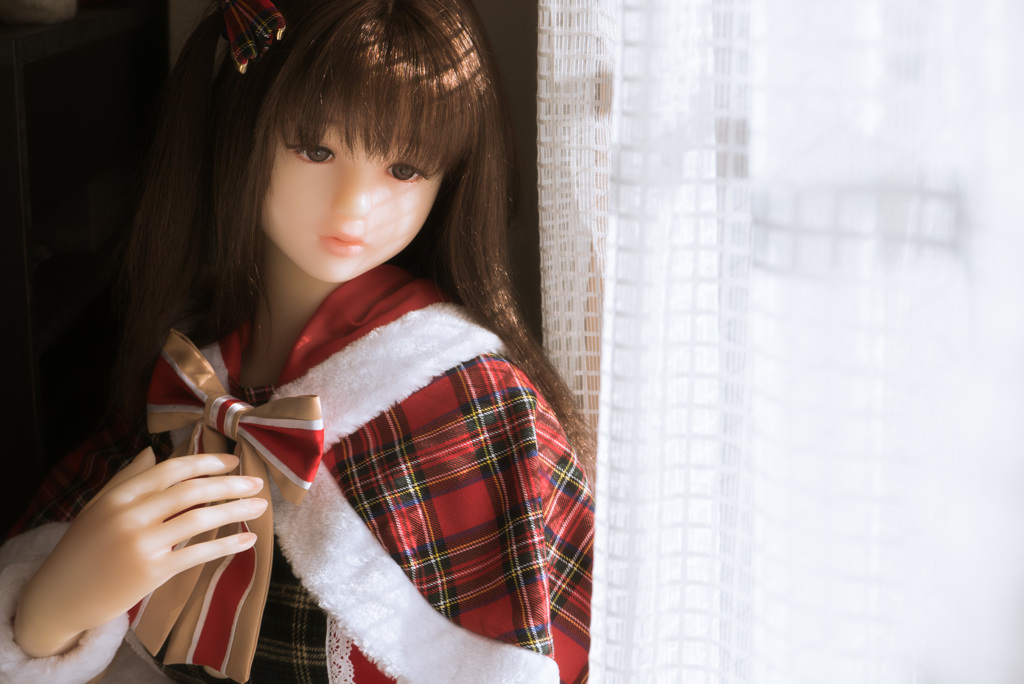 少女は冬の窓辺に想う