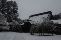 観福寺雪化粧