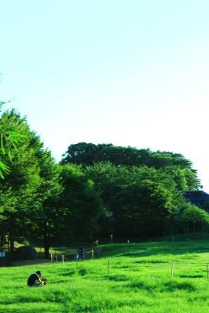 公園