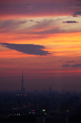 オレンジ色に染まる東京