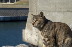 海を見つめて