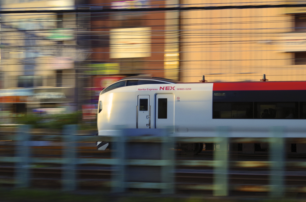 Narita Express