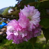 山際にひっそりと