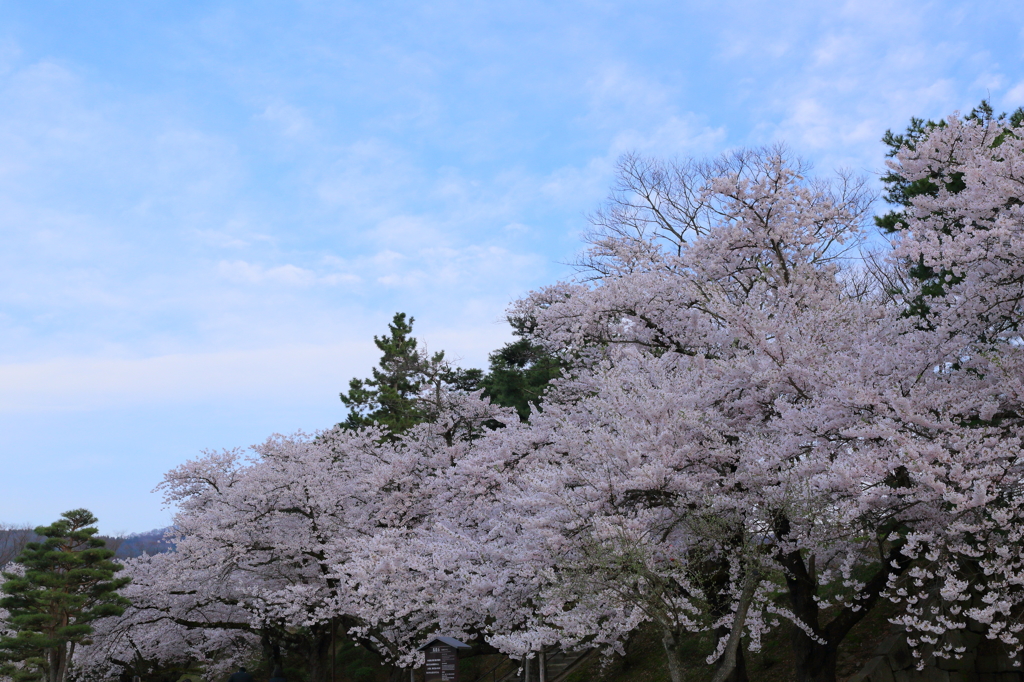 鶴ヶ城