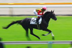 20120603未勝利戦(東京) アルフェロア