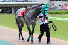 2012京王杯SC　ジョーカプチーノ