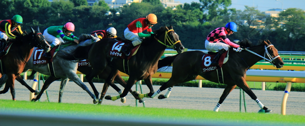 2012/10/13 府中牝馬S