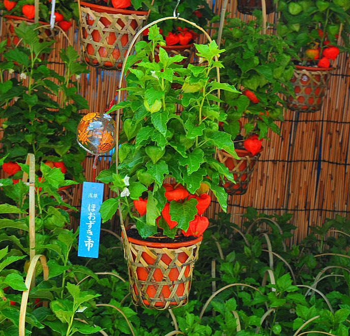 DSC_4163_edited-1