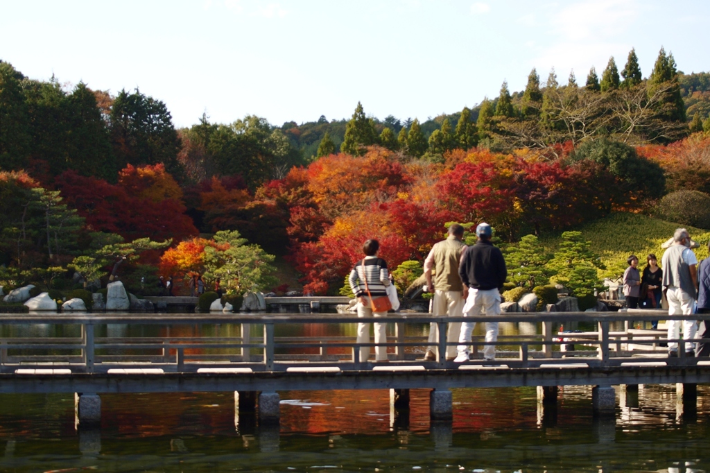 三景園の紅葉　２