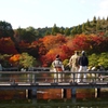 三景園の紅葉　２