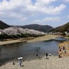 春爛漫～井原堤