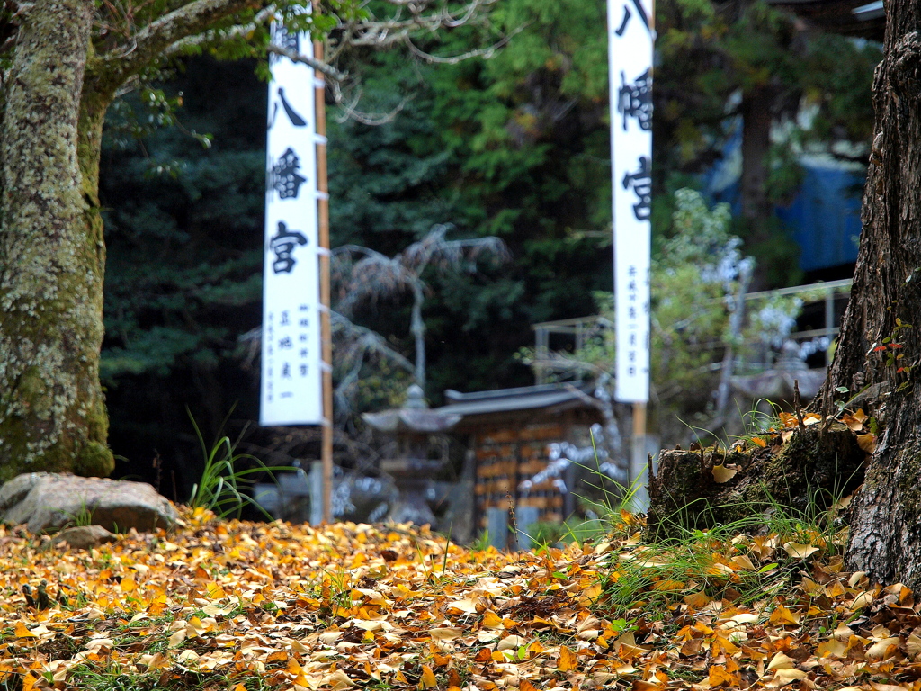 枯葉舞い落ち降り積もる～