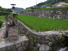 田園風景