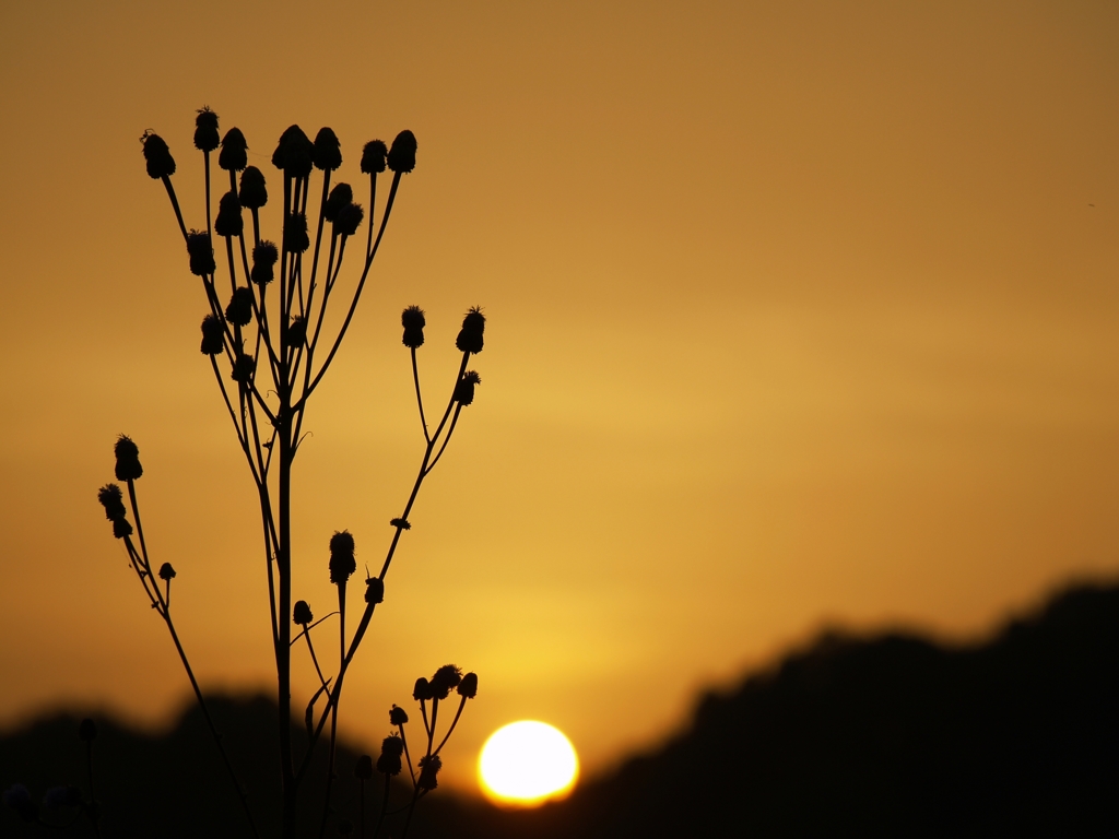 ５月　夕暮れ時～