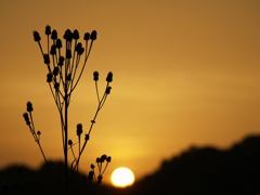 ５月　夕暮れ時～