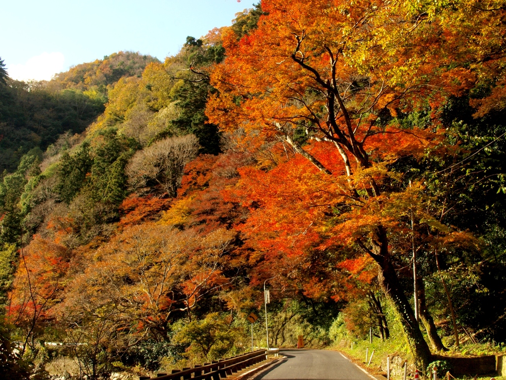 山燃える道の向こうに～