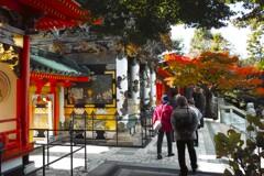 耕三寺の紅葉