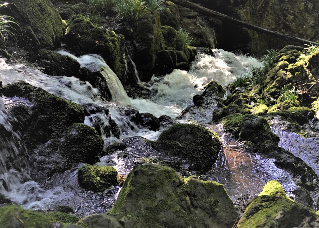 Watching the River Flow～川の流れを見つめて