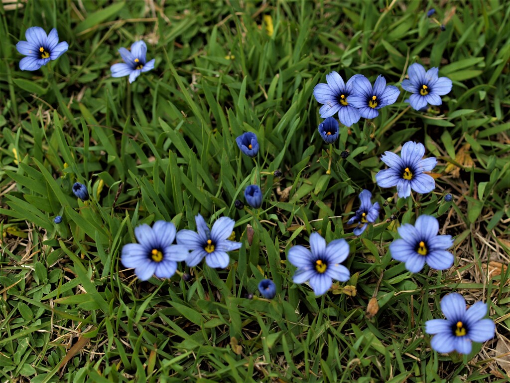 華やぐ公園　１