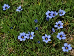 華やぐ公園　１
